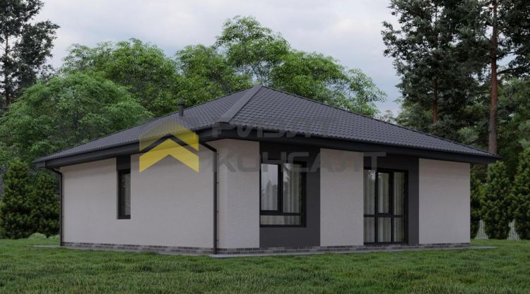 Дом, 101.30м², 10 соток, 1 этаж, 3 комн., стены: Газоблоки миниатюра 2
