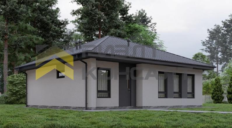 Дом, 96.80м², 8 соток, 1 этаж, 3 комн., стены: Газоблоки миниатюра 3