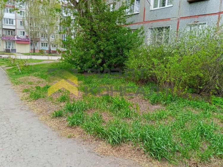 1-комн. квартира, Вторичка, 30м², 9/9 этаж миниатюра 15