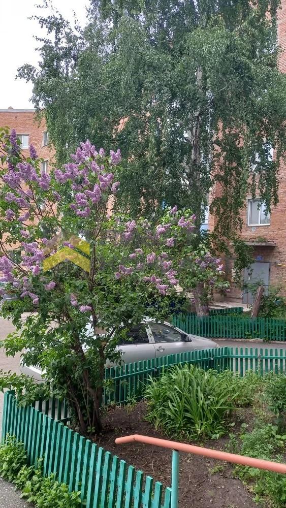 2-комн. квартира, Вторичка, 50.30м², 3/5 этаж миниатюра 11