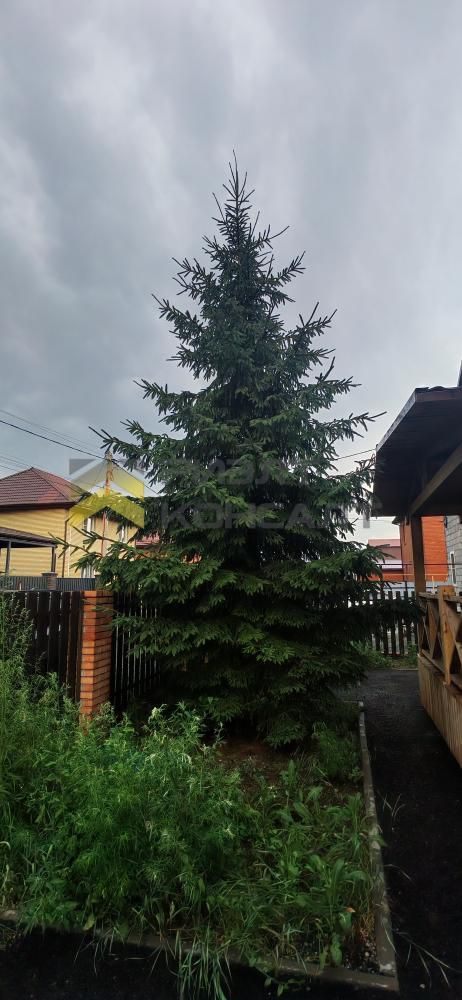 Дом, 215м², 6 соток, 2 этажа, 6 комн., стены: Газоблоки миниатюра 39