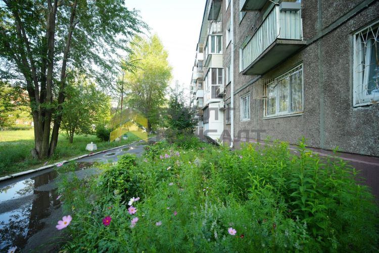 3-комн. квартира, Вторичка, 58м², 4/5 этаж миниатюра 22
