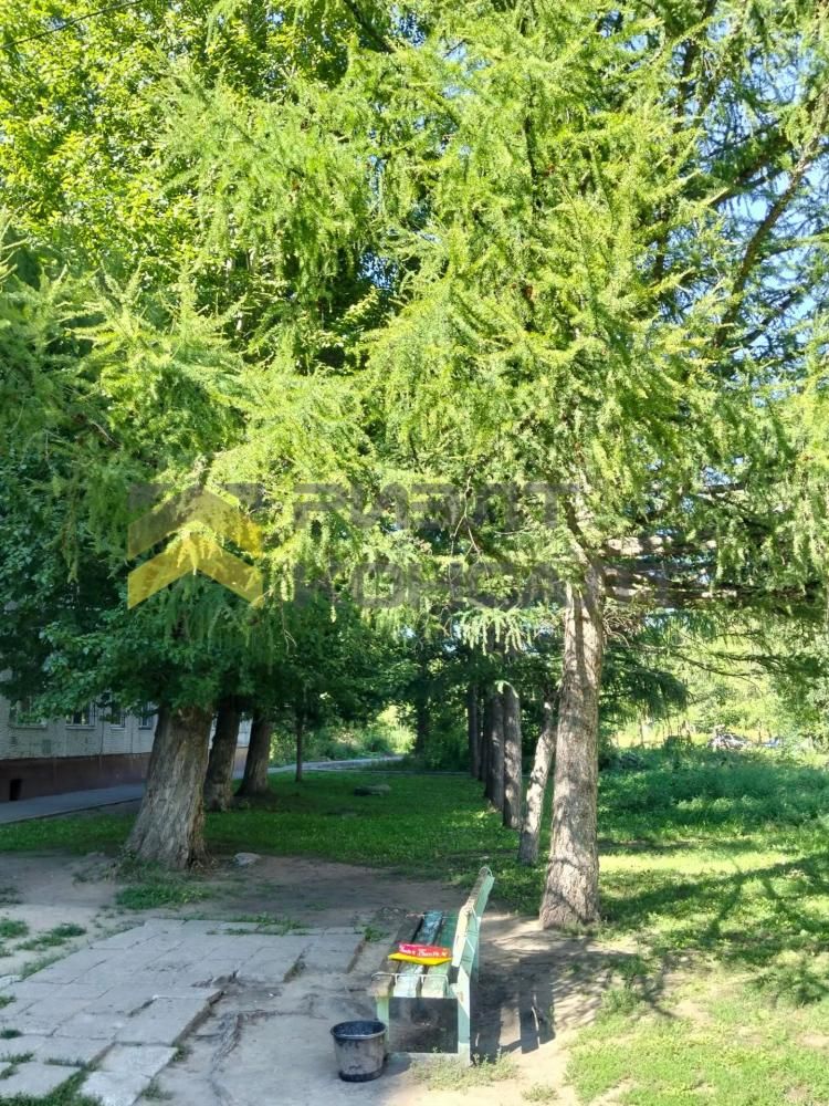 1-комн. квартира, Вторичка, 29.70м², 8/9 этаж миниатюра 18