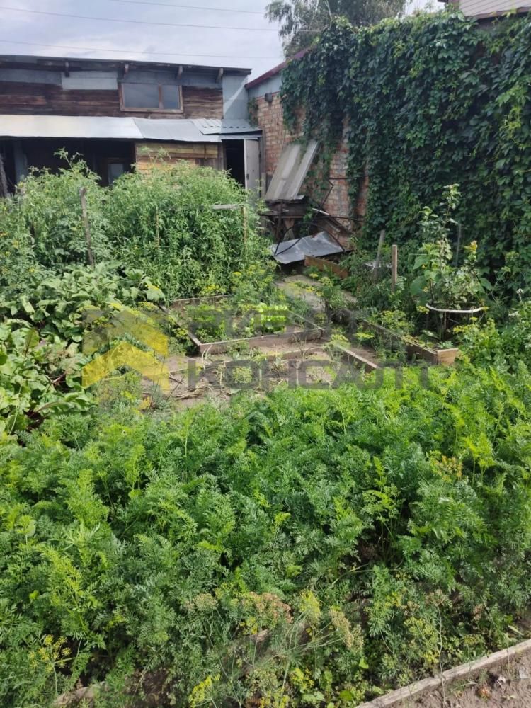 3-комн. квартира, Вторичка, 54.80м², 1/1 этаж миниатюра 30